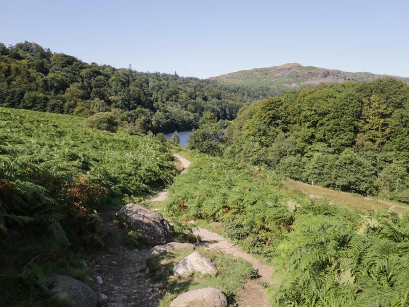 Rothay 17 - image 5