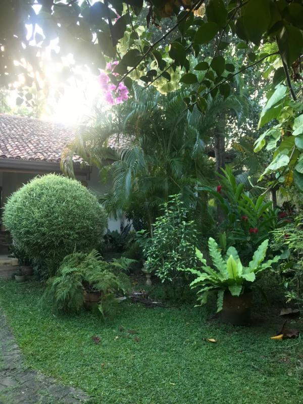 Tangalle Green House - image 25