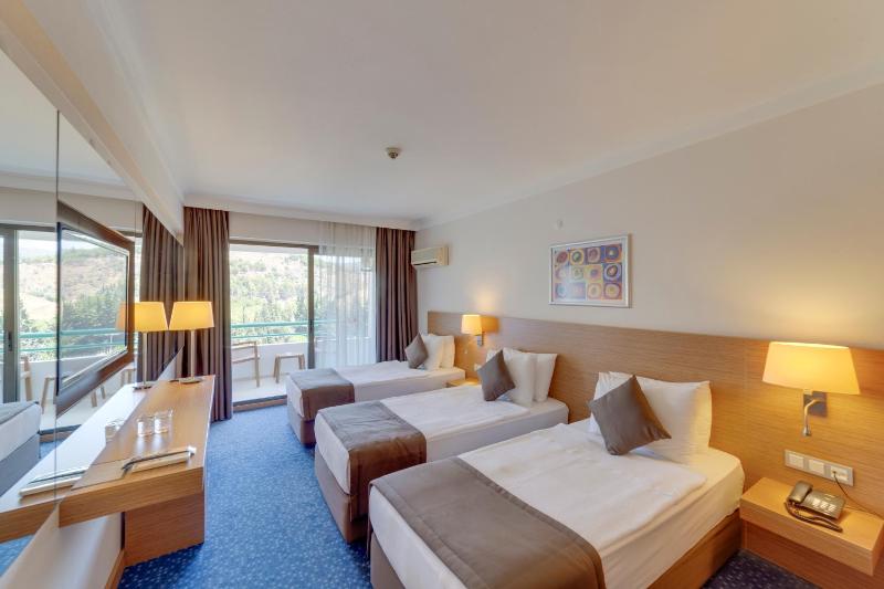 Mountain View Room image 2