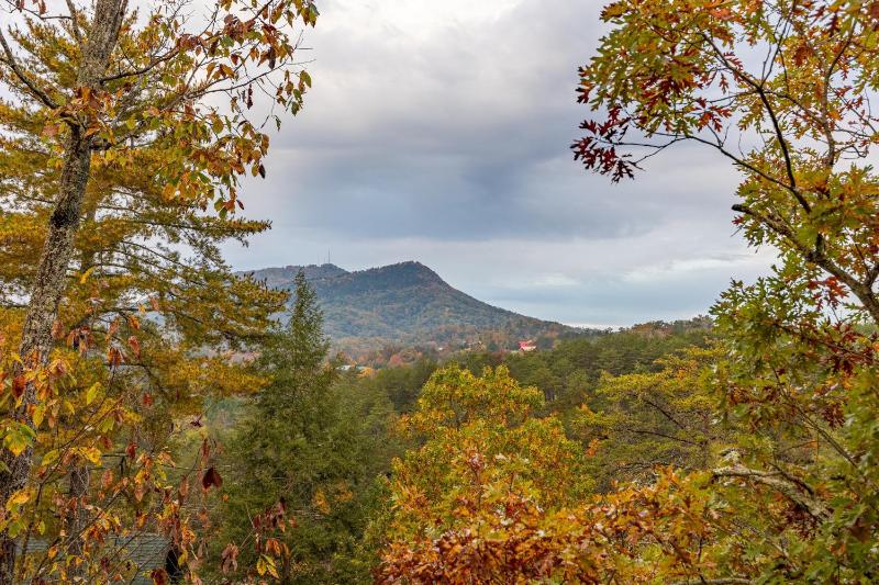 Deluxe Mountain Cabin in Bear Creek Crossing Resort - image 8