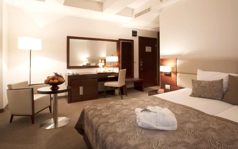Deluxe Double or Twin Room image 4