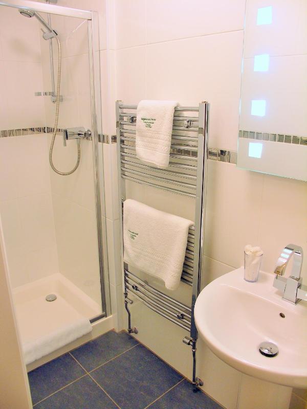 Single Room with Shower - 2nd Floor image 4