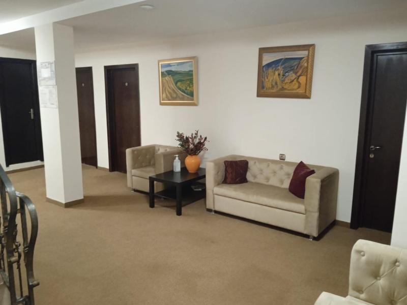 Hotel Ioana - image 8