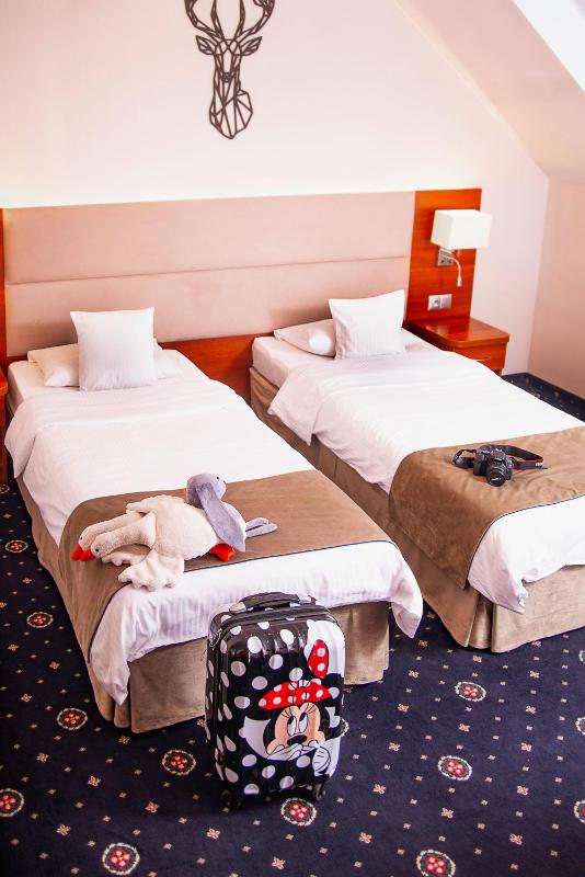 Standard Double or Twin Room image 4