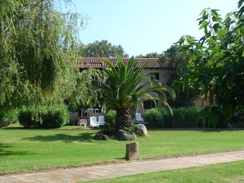 Apartment with Terrace image 1