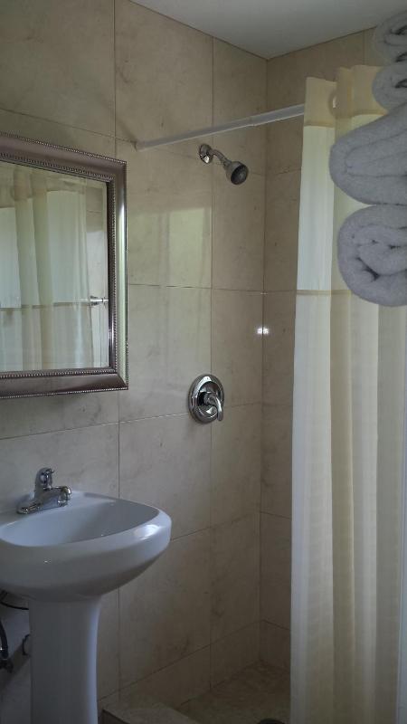 Queen One Bedroom Suite # 12 image 3