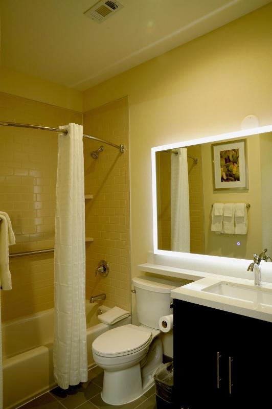 Studio Queen Suite image 4