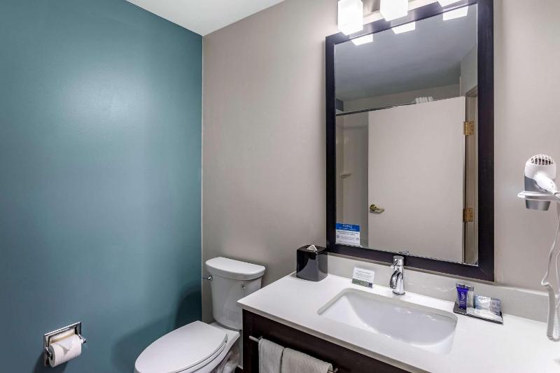 Efficiency King Room - Non-Smoking/Pet Friendly  image 2