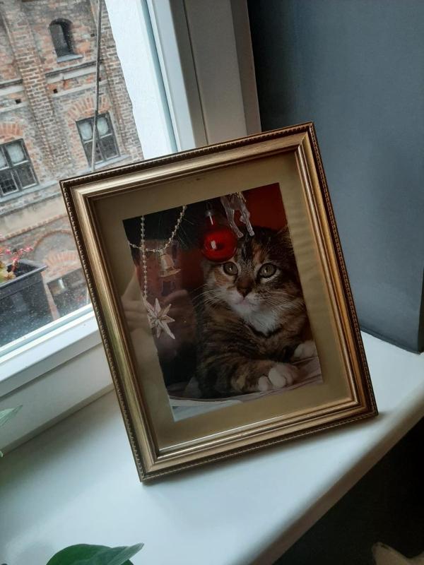 Apartment image 2