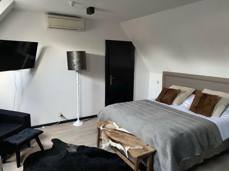 Large Double Room image 1
