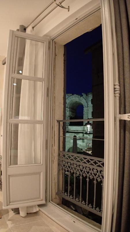 Holiday in Arles: Appartement de l'Amphithéâtre - image 3