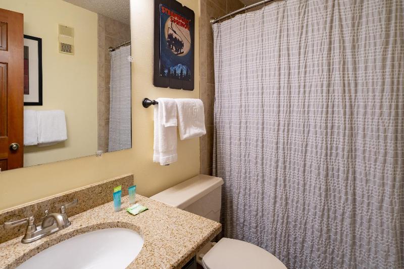 Phoenix 208 Townhouse - image 6