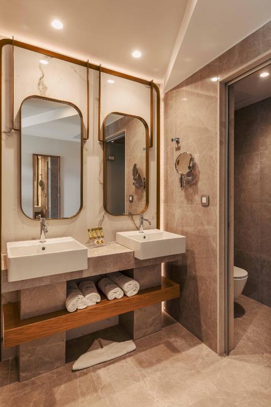 Deluxe Suite with Spa Bath image 4