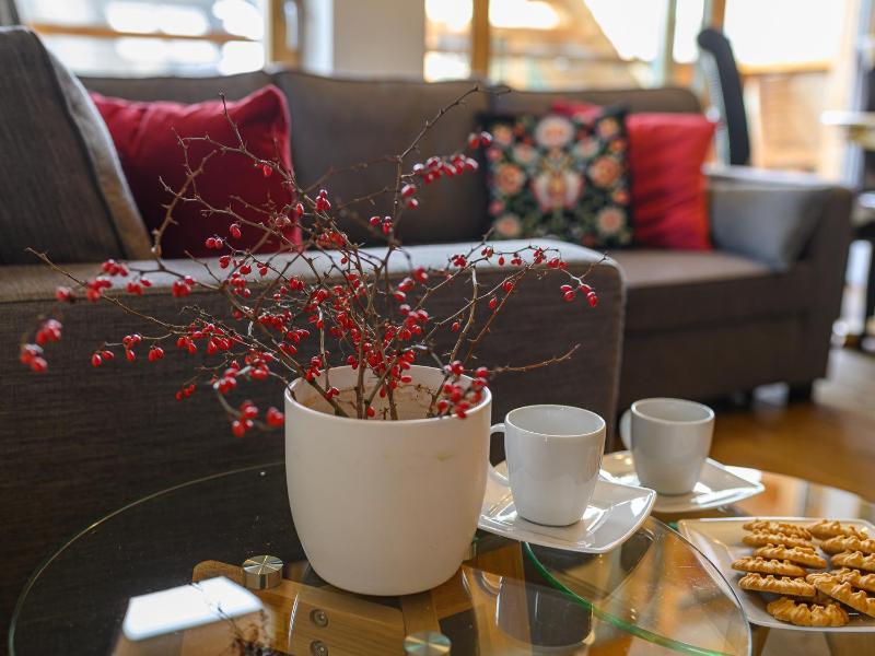 VisitZakopane - Dolomite SPA Apartment - image 8