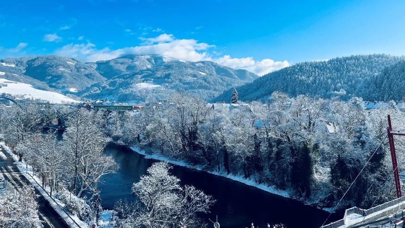 Suite with River View image 2