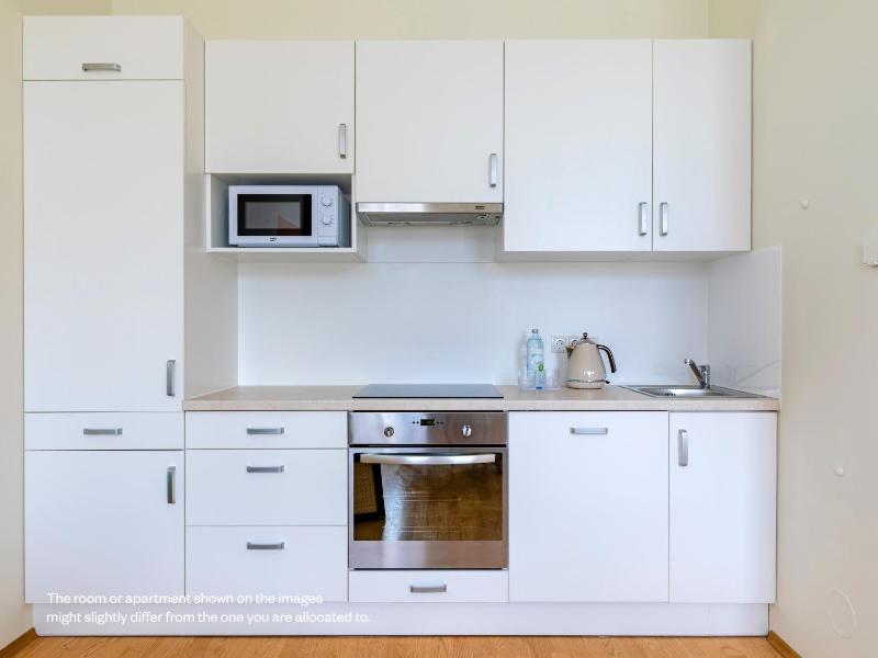 1 Bedroom Apartment image 4