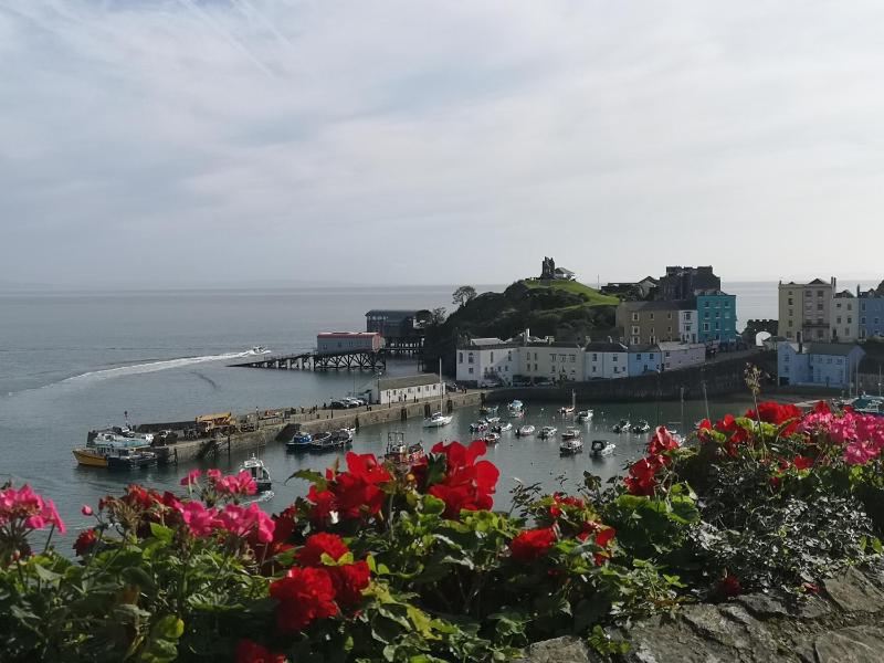 Ivy Bank Guest House Tenby - image 16