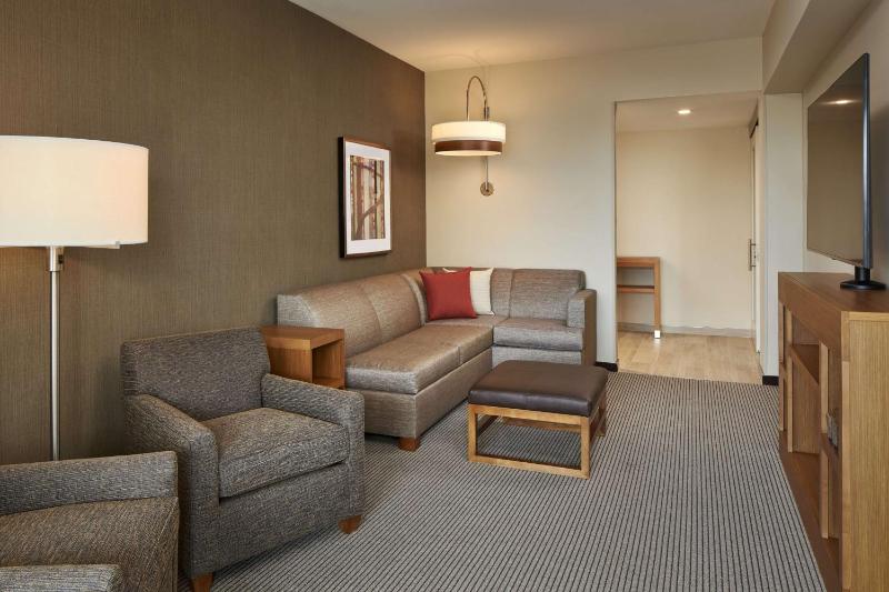 Specialty King Room with Sofa Bed image 1