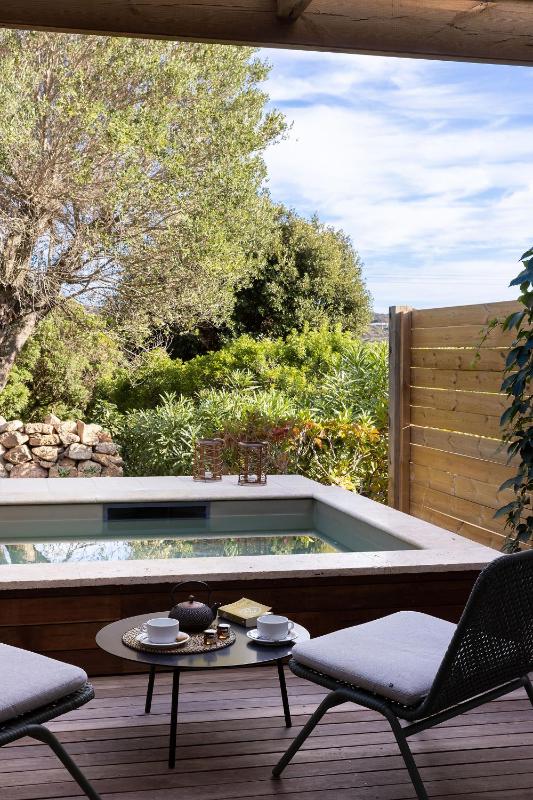 Double Room with Private Swimming Pool  image 1