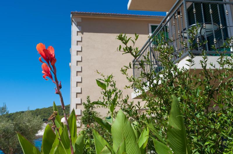 Comfort Double Room with Balcony and Garden View image 1