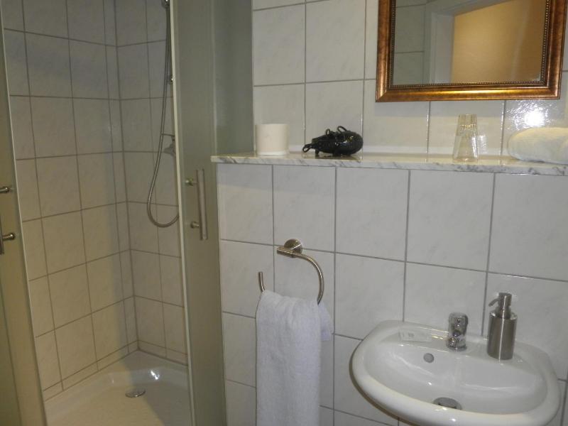 Standard Single Room image 4