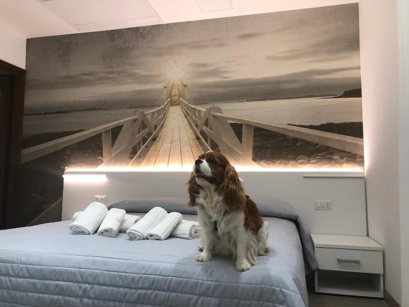 Double or Twin Room image 1