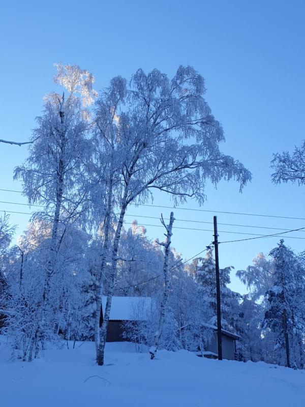 Divčibarka - image 12