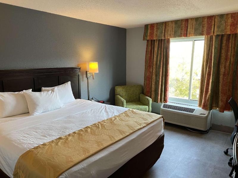 King Room image 1