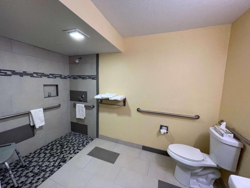 Double Room with Two Double Beds and Mobility Accessible Roll-In Shower image 2