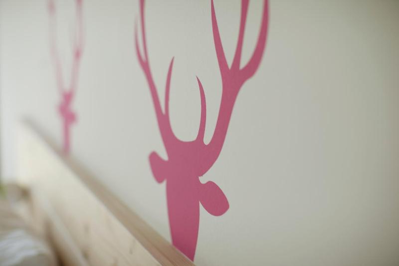 Comfort Single Room image 3