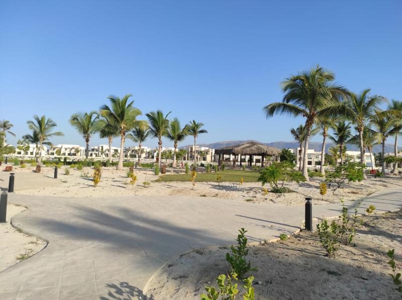 Segal Salalah-Forest Island-Hawana - image 20