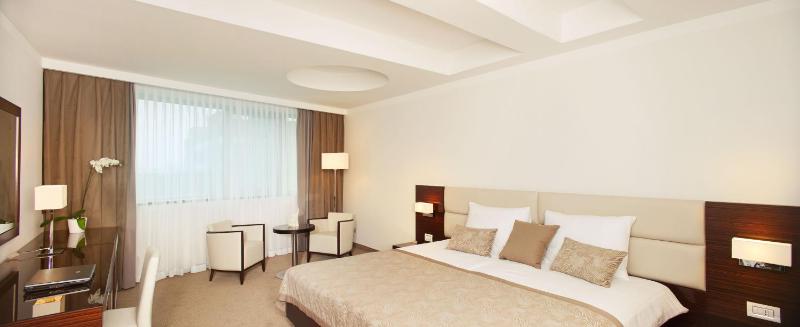 Deluxe Double or Twin Room image 1