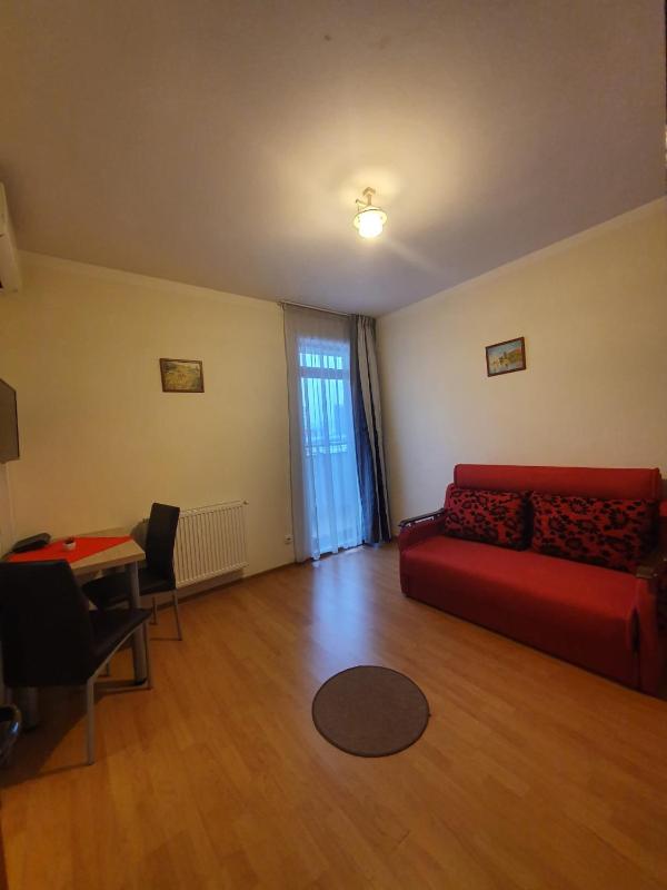 Studio with Balcony image 3