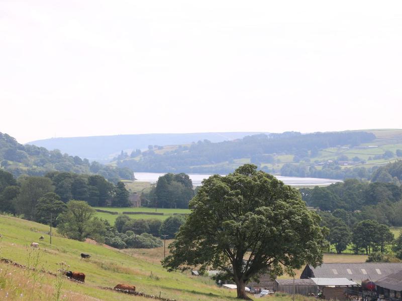 Silver Hill Cottage - image 38
