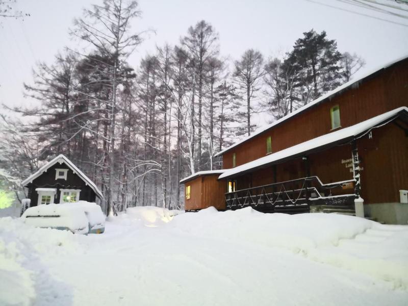 Beaver Lodge Hakuba - image 13