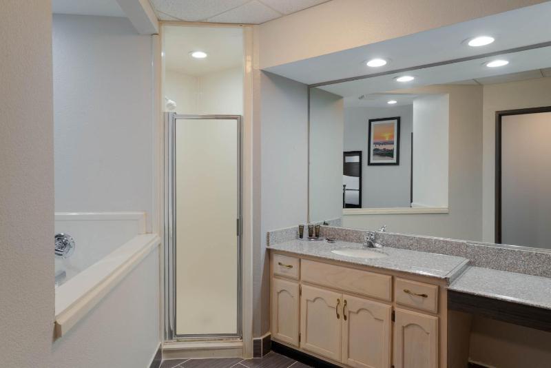 Deluxe King Studio Suite - Non-Smoking image 2