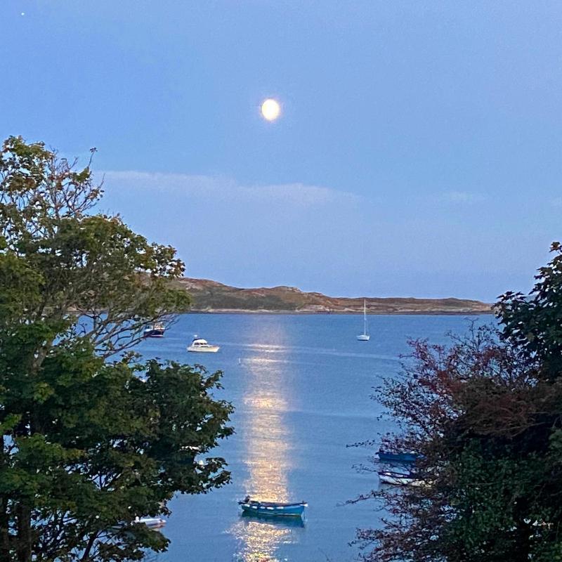 Schull Harbour Hotel & Leisure Centre - image 2