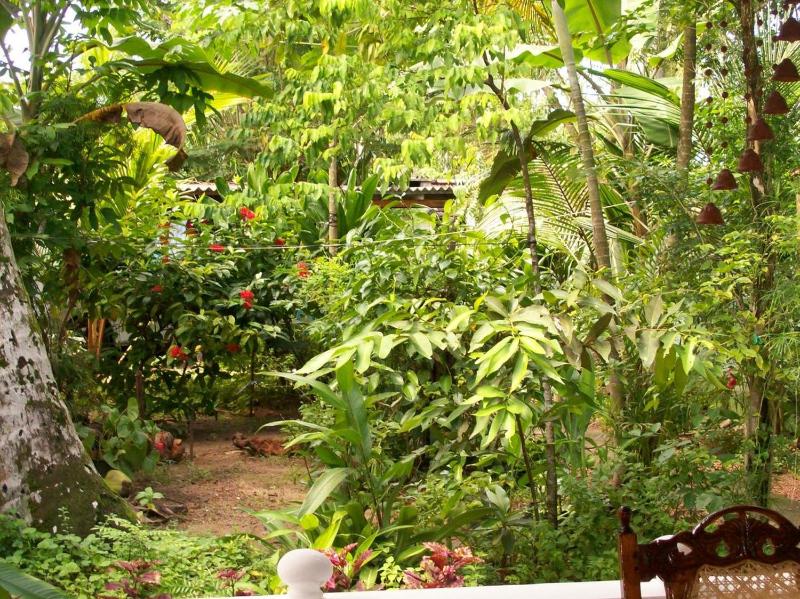 Suveniya Villa - image 17