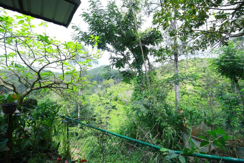 Nature Relax - image 2