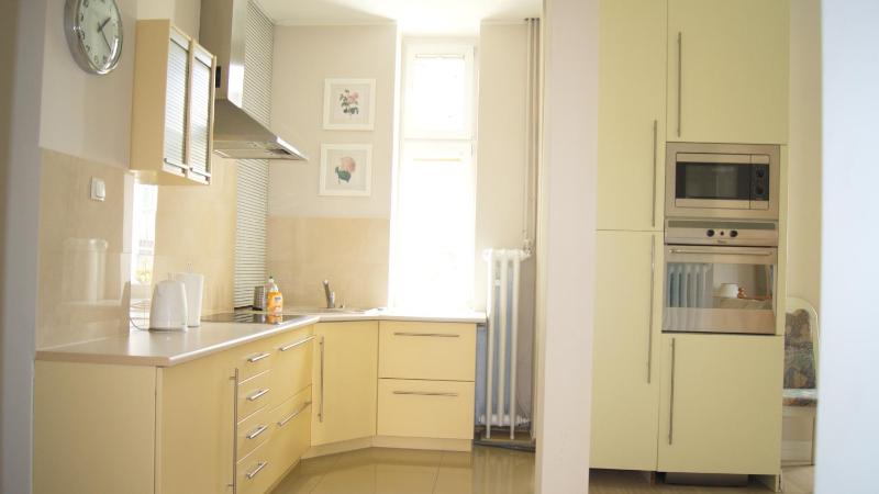 Apartment - Split Level image 4