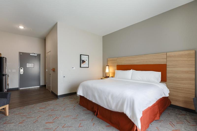 1 King Bd Studio Suite image 3