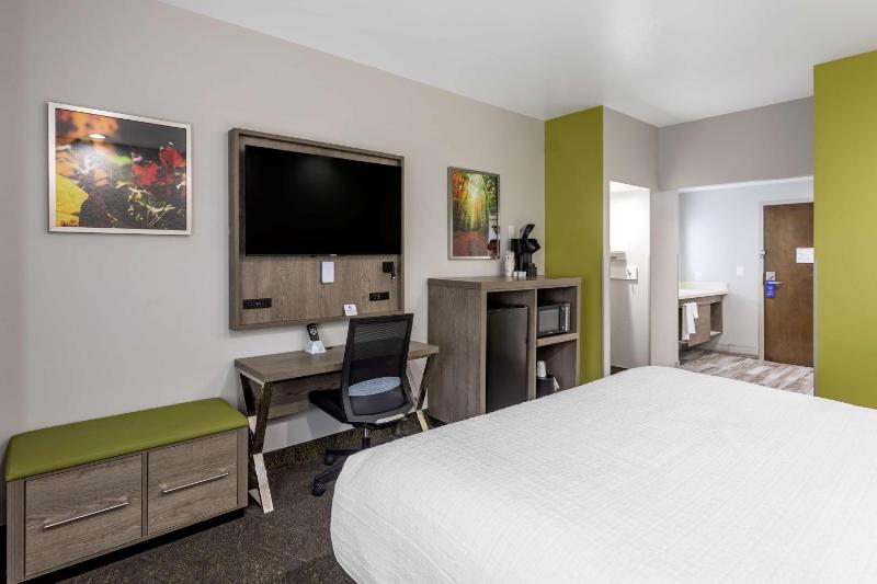 King Room with Mobility Accessible Tub and Sofa Bed image 3