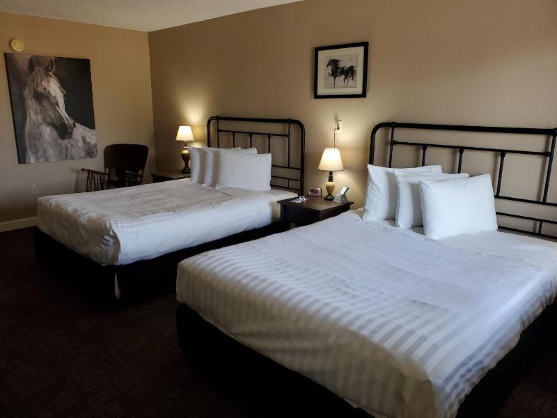 Deluxe Double Room image 1