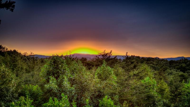 Carpe Diem - Dog Friendly | Mountain Views | Fun Game Room | Hot Tub - image 39