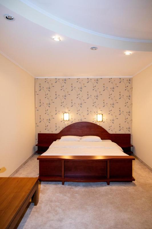 Studio with Terrace image 4