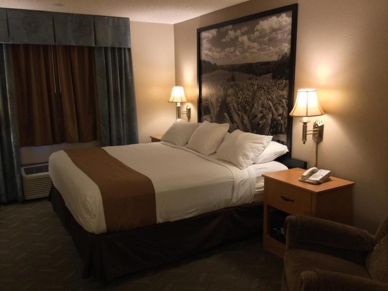 Deluxe King Suite - Non-Smoking image 3