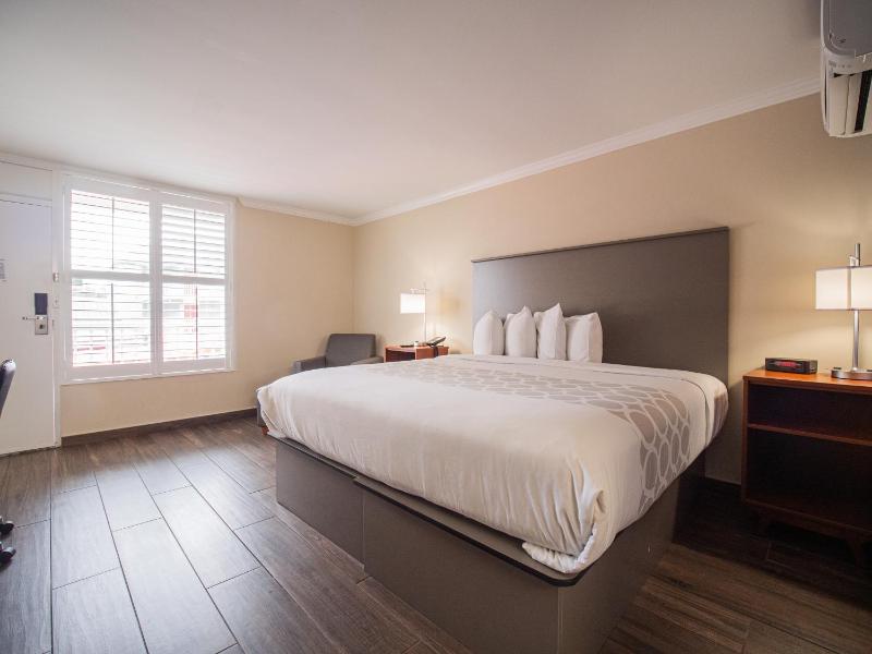 Economy Single Room image 4