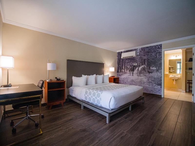 King Room - Disability Access image 2