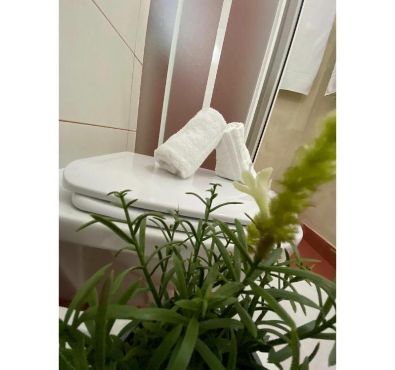 Bnb Archimede - image 15