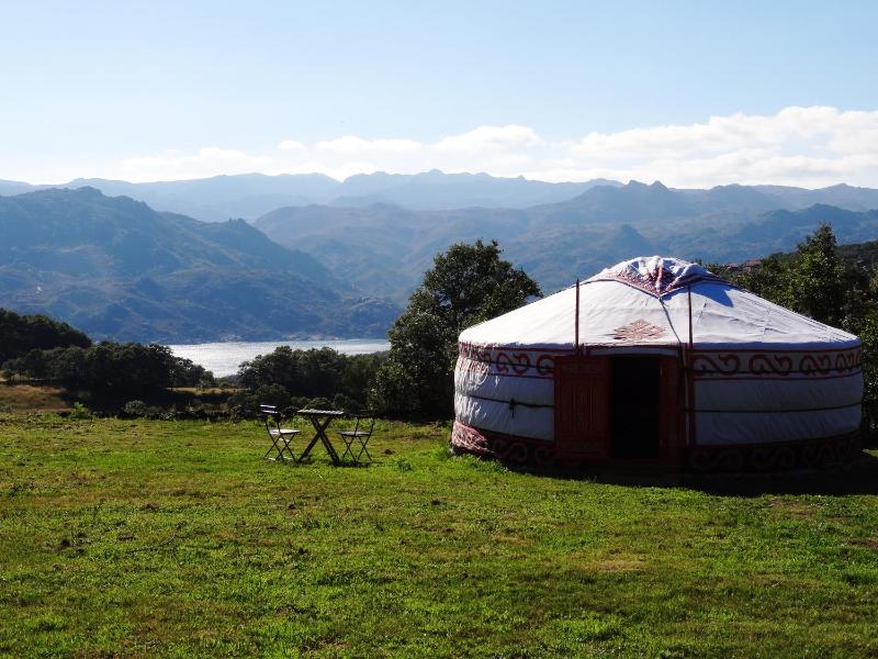 Yurt image 1
